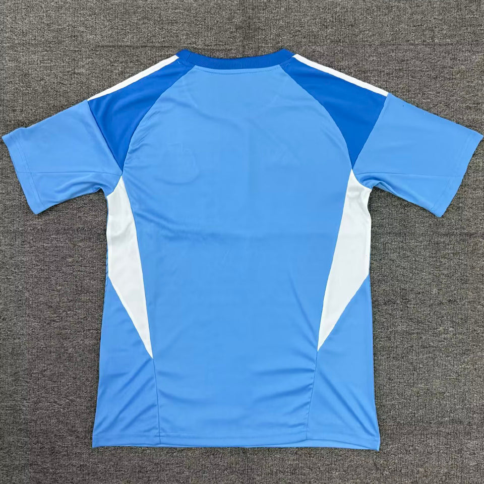 Jersey 2025/26 Newcastle Portero Manga corta Versión Fan