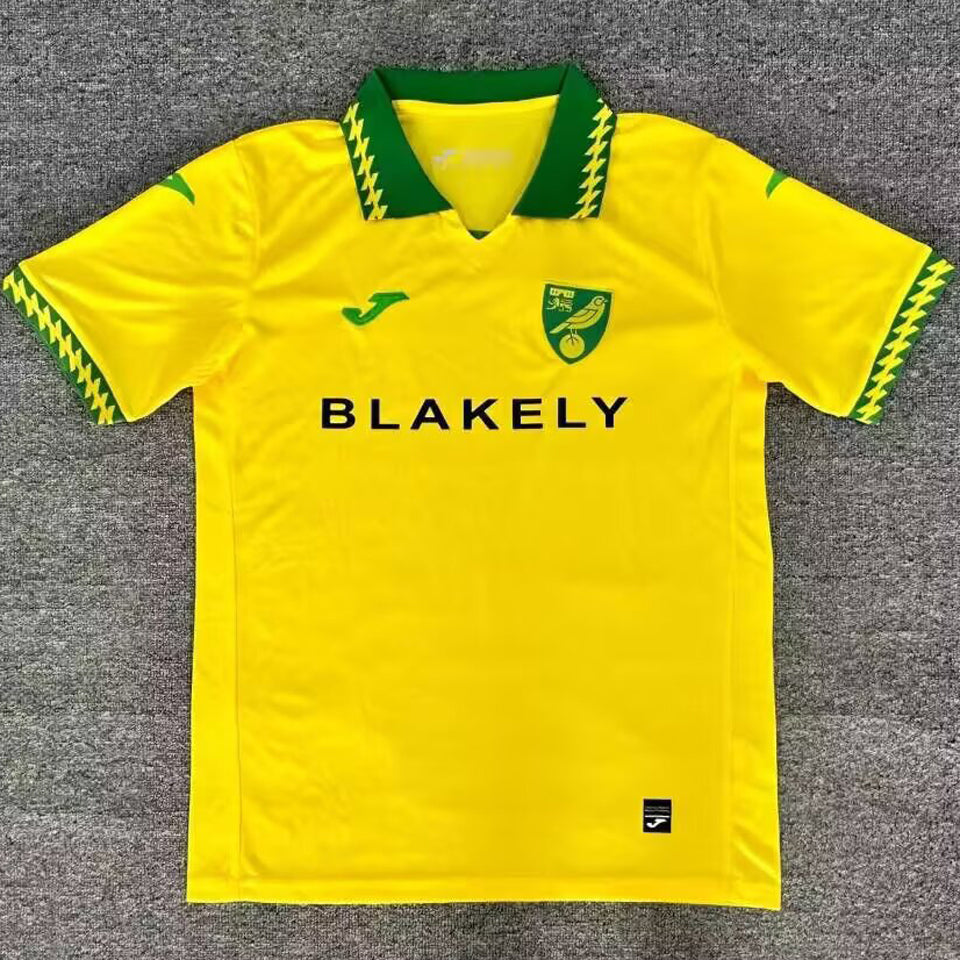 Jersey 2025/26 Norwich Local Manga corta Versión Fan