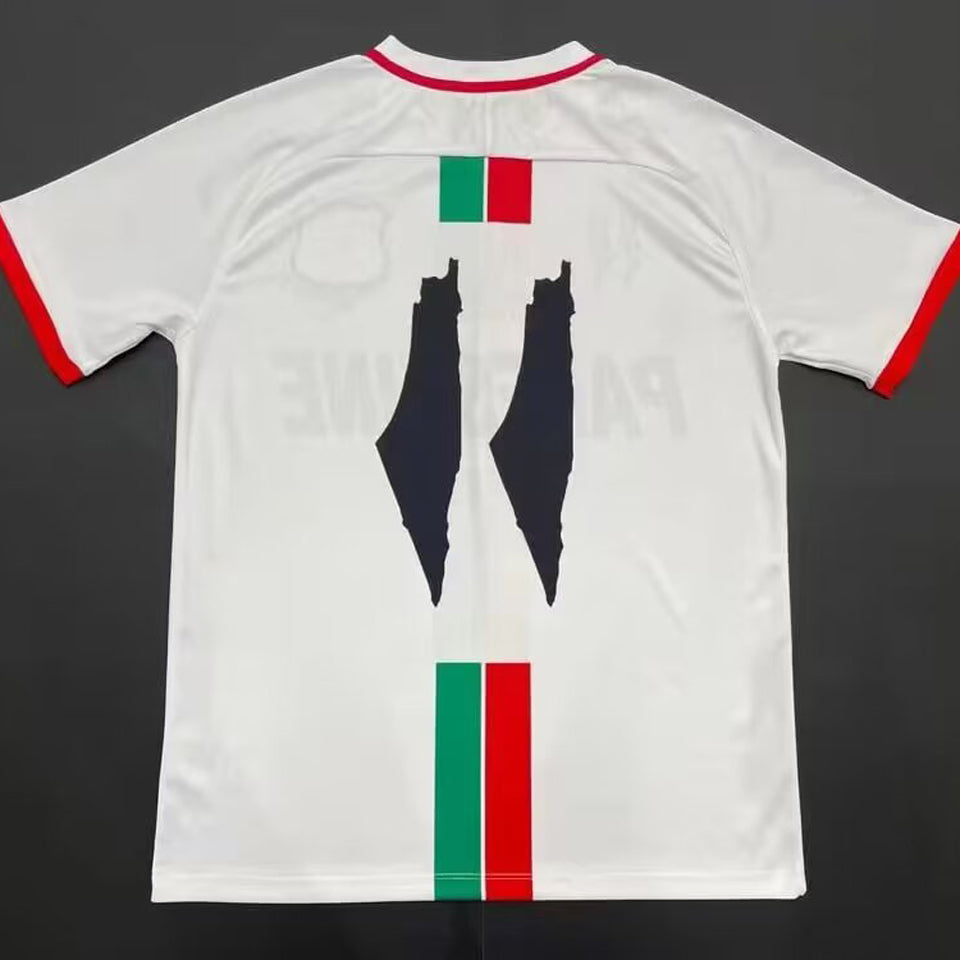 2024 palestine especial versión fan selecciones
