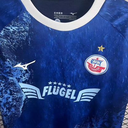 Jersey 2025 Hansa Rostock Especial Manga corta Versión Fan
