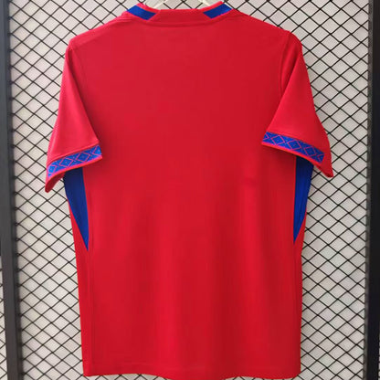 2026/27 Norway Hoem Especial Versión Fan Selecciones