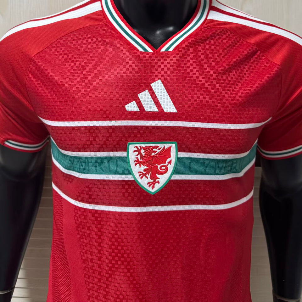 2026/27 wales local versión jugador selecciones