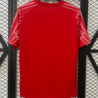 Jersey 2024/25 PSG Especial Manga corta Versión Fan