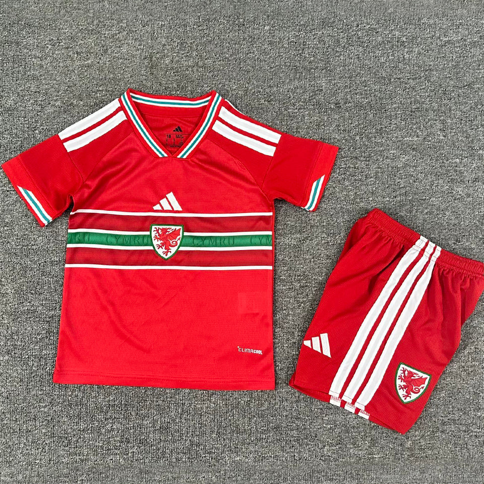 2026/27 wales local niño selecciones