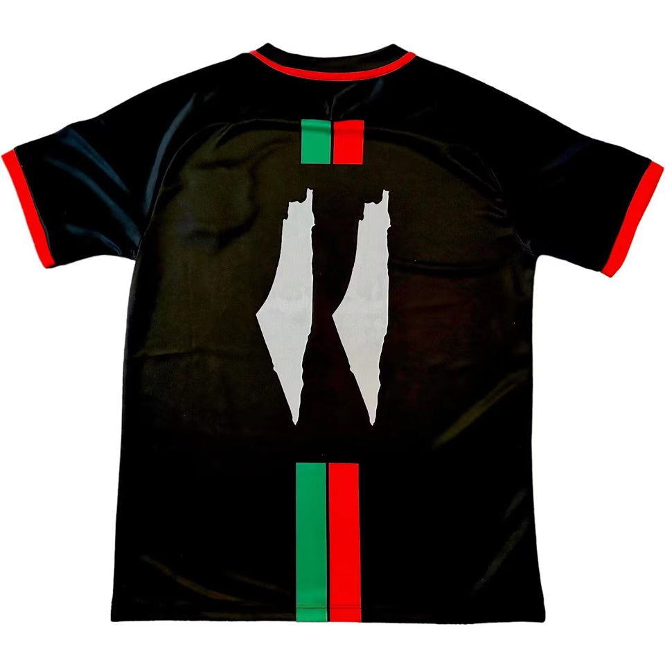 2024 palestine especial versión fan selecciones