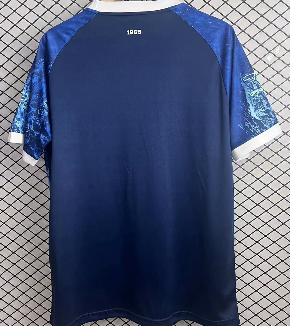 jersey 2025 hansa rostock especial manga corta versión fan