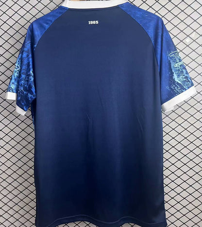 Jersey 2025 Hansa Rostock Especial Manga corta Versión Fan