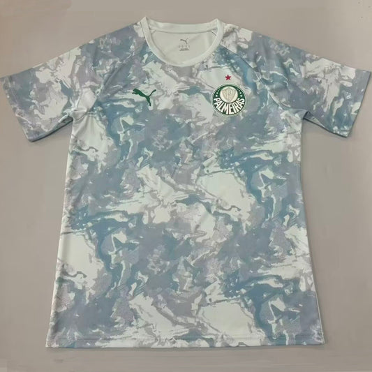 Jersey 2026/27 Palmeiras Especial Manga corta Versión Fan