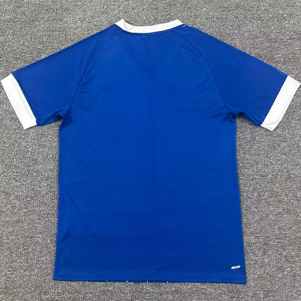Jersey 2025/26 Cardiff City Local Manga corta Versión Fan